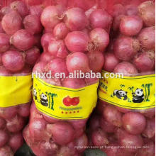 Exportação Cebola Red Fresh Shallot para a Índia